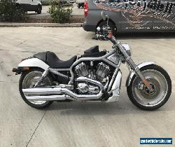 HARLEY DAVIDSON VROD 08/2003MDL ANNIVERSARY 56426KMS PROJECT MAKE AN OFFER for Sale