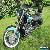 1998 Honda Shadow for Sale